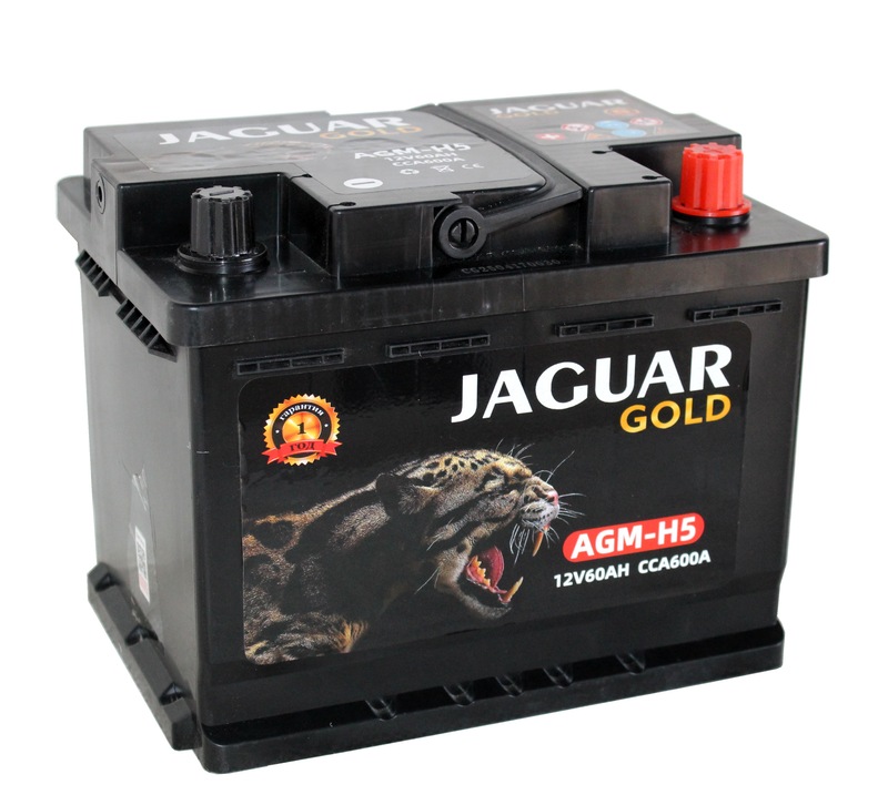 JAGUAR AGM 6СТ-60 Ач о.п.  д242ш175в190600А