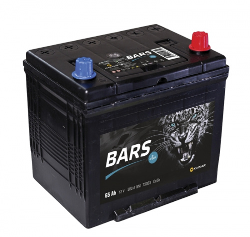 BARS ASIA 6CT-65